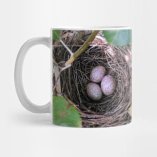 Birds Nest Mug